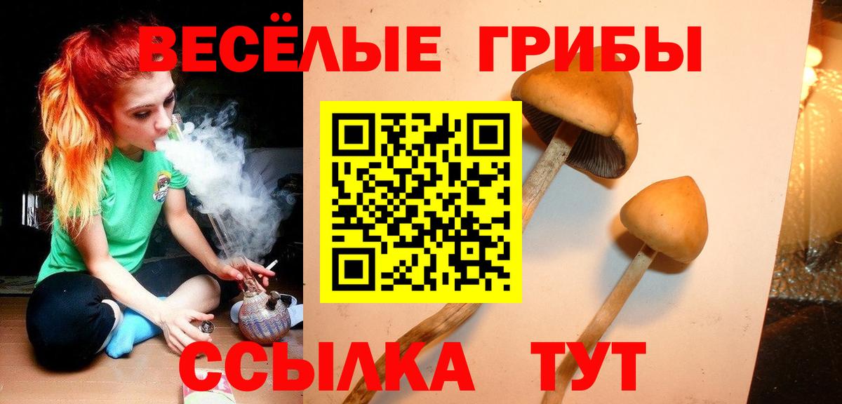 Галлюциногенные грибы Psilocybine cubensis  Вход с VPN  Артёмовский 